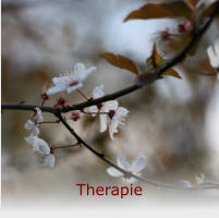 Therapie